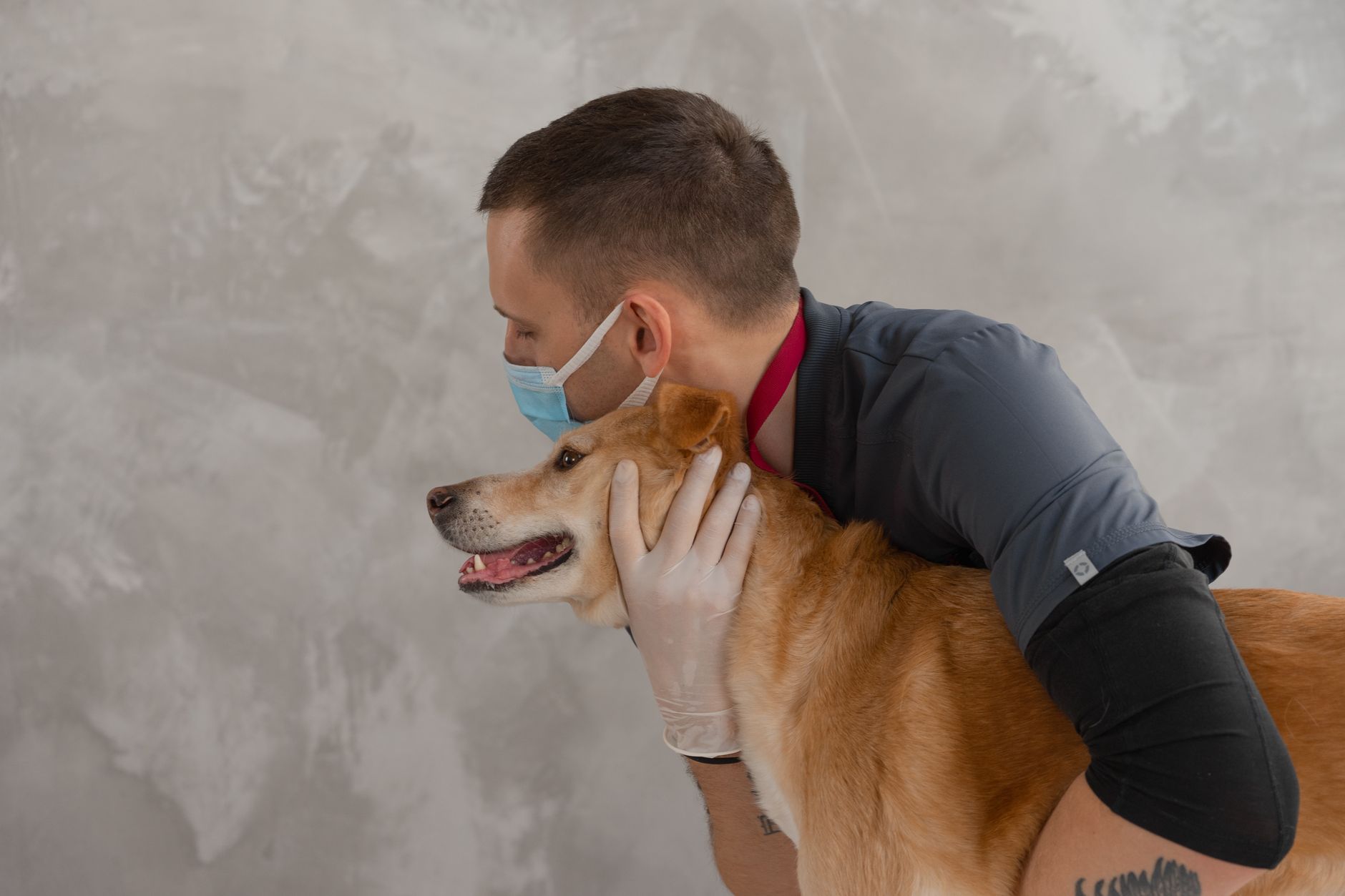 A caring veterinarian embraces a happy dog during a routine checkup. Captures empathy and professionalism.