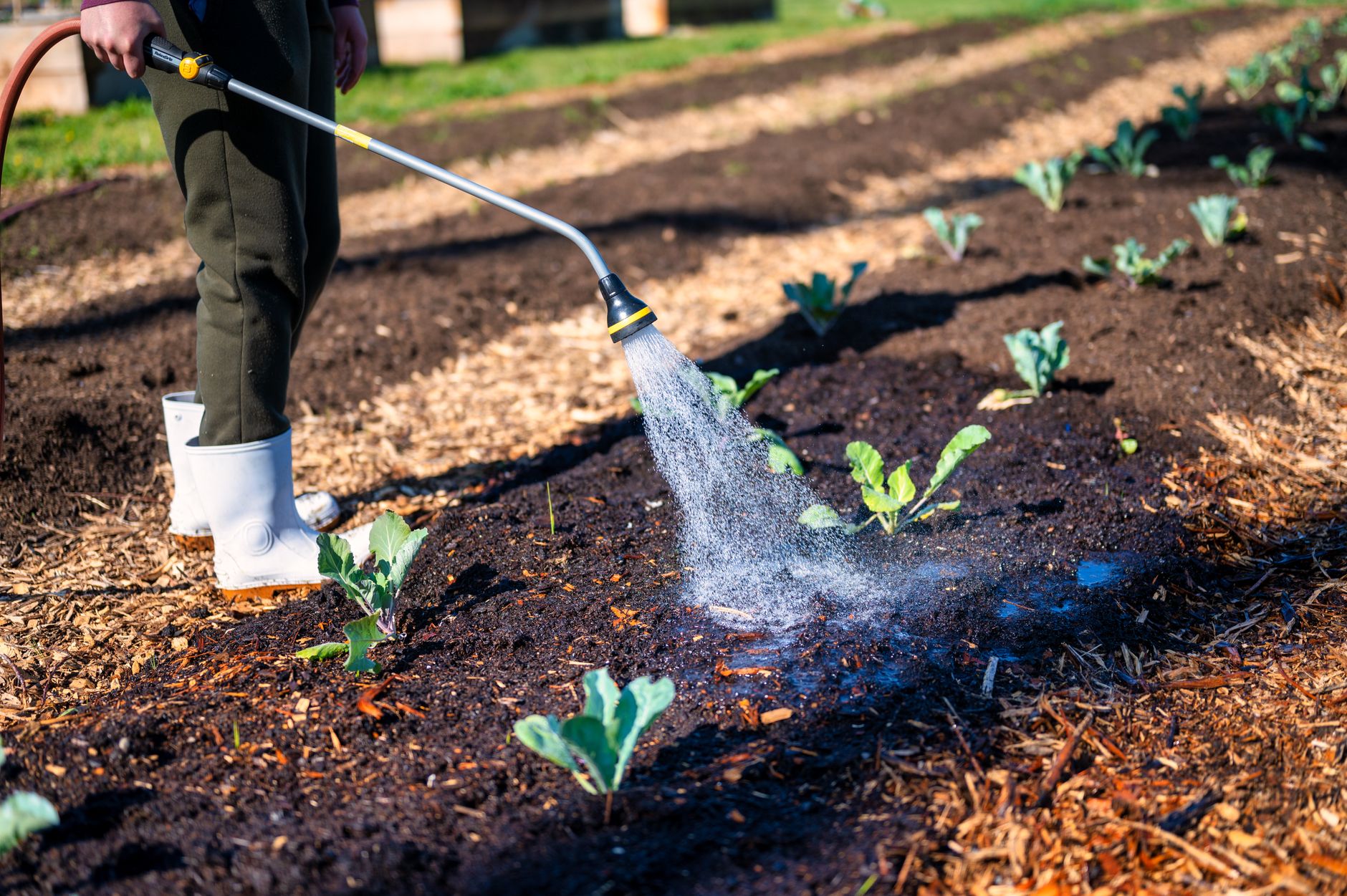 Lawn care & landscaping
